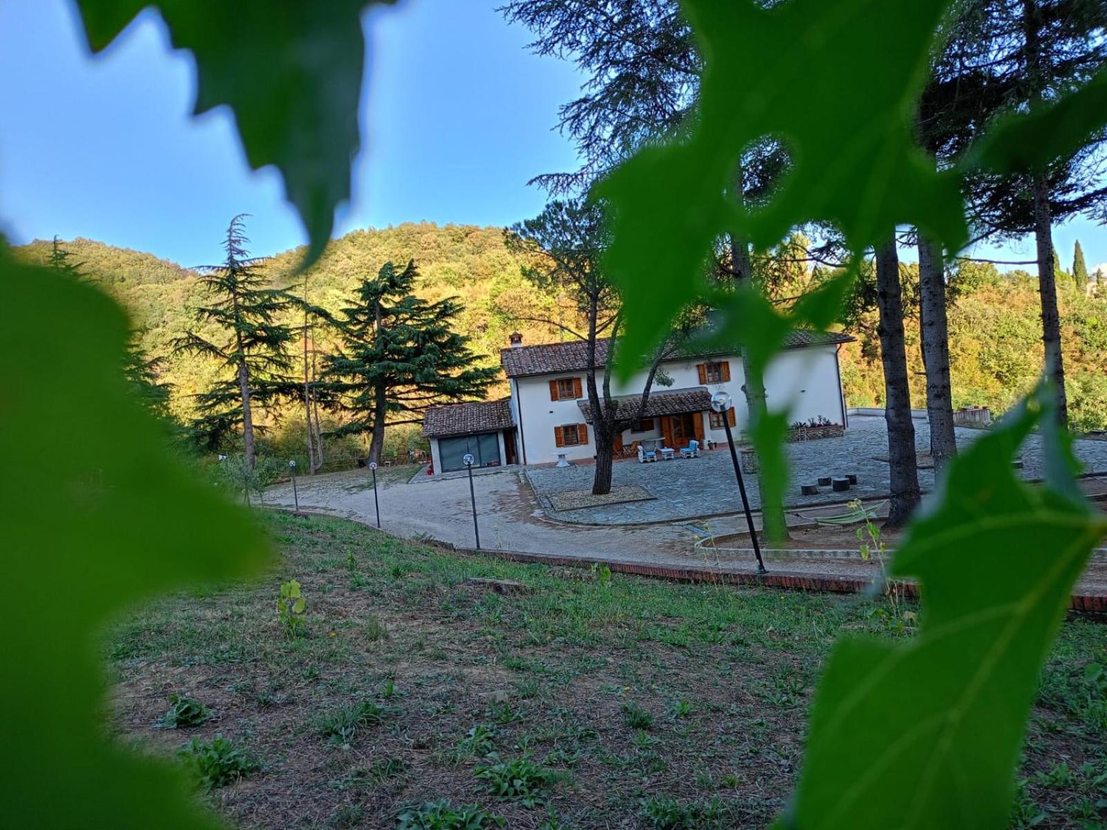 Bed & Breakfast Bianca *